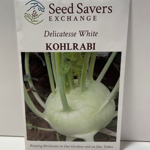 Delicatesse White Kohlrabi heirloom seeds