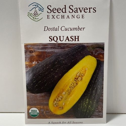 Organic Dostal Cucumber Squash Heirloom Open Pollinated Seeds