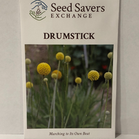 Thumbnail for Drumstick Flower