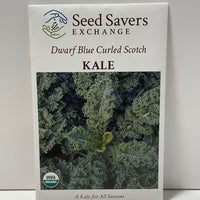 Thumbnail for Organic Dwarf Blue Curled Scotch Heirloom Kale Open-Pollinated Seeds