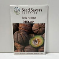 Thumbnail for Early Hanover Melon Heirloom Open Pollinated Seeds
