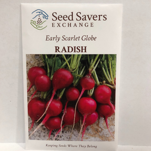 Early Scarlet Globe Radish