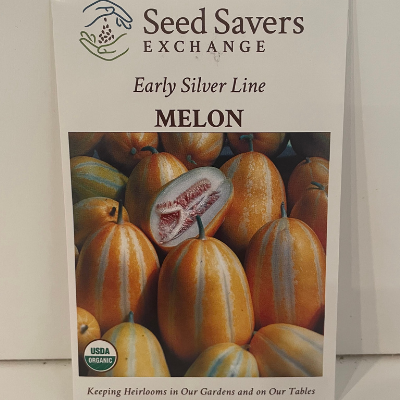 Organic Early Silver Line Melon seeds