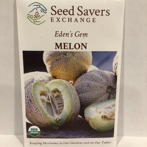 Eden's Gem Melon, 1905 Heirloom, Organic