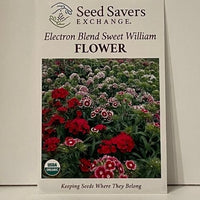 Thumbnail for Organic Electron Blend Sweet William Flower