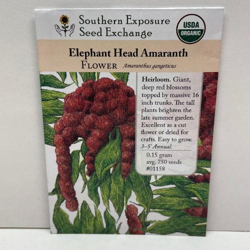 Elephant Head Amaranth Seeds, Organic, Heirloom