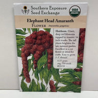 Thumbnail for Elephant Head Amaranth Seeds, Organic, Heirloom