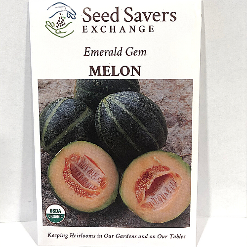 Organic Emerald Gem Melon, 1886 Heirloom