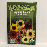 Thumbnail for Evening Colors Sunflower, Organic