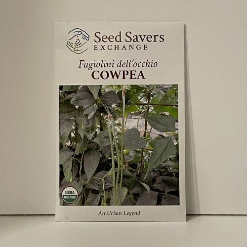 Fagiolini dell'occhio Cowpea, 1950 Heirloom, Organic