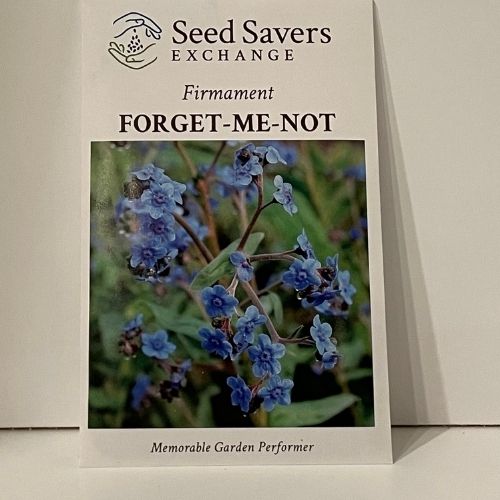 Firmament Chinese Forget Me Not Flower Seeds