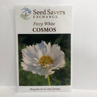 Thumbnail for Sensation Fizzy White Cosmos Flower