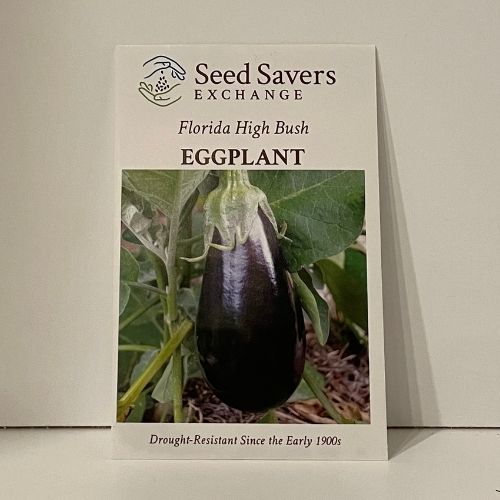 Florida High Bush Eggplant, 1900 Heirloom Seeds