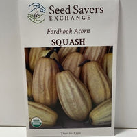 Thumbnail for Organic Fordhook Acorn Squash Heirloom Open Pollinated Seeds