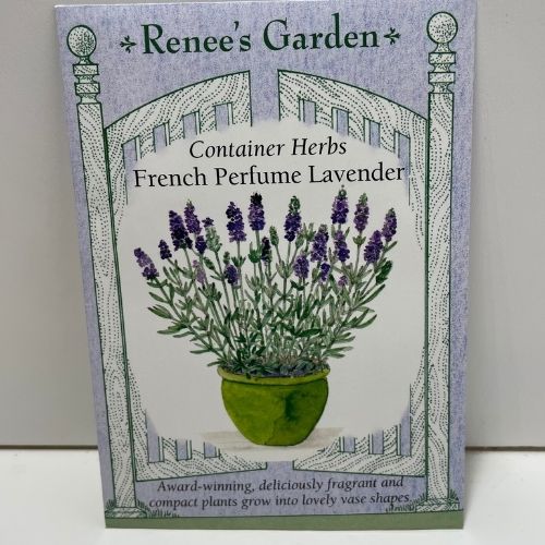 French Perfume Lavender Seeds