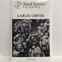 Thumbnail for Garlic Chives, Organic