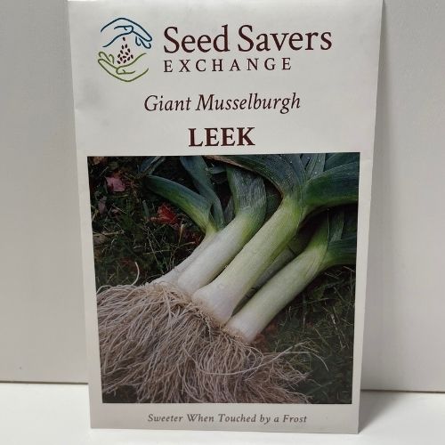 Giant Musselburgh Leek Heirloom Open Pollinated Seeds
