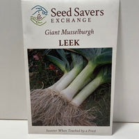 Thumbnail for Giant Musselburgh Leek Heirloom Open Pollinated Seeds