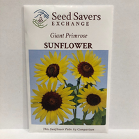 Thumbnail for Giant Primrose Sunflower