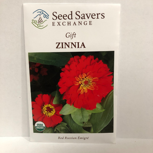 Gift Zinnia Flower - Heirloom, Organic