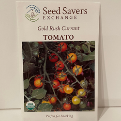 Currant Gold Rush Tomato, Organic