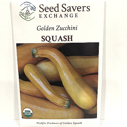 Golden Zucchini Squash, Organic