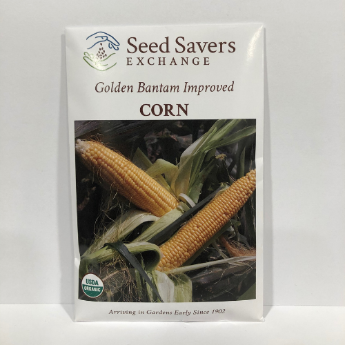 Organic Golden Bantam Improved Corn, 1902 Heirloom