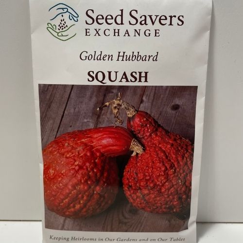 Golden Hubbard Squash Heirloom Open Pollinated Seeds