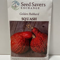 Thumbnail for Golden Hubbard Squash Heirloom Open Pollinated Seeds
