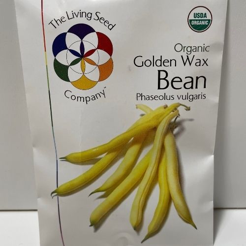 Organic Golden Wax Bean heirloom seeds