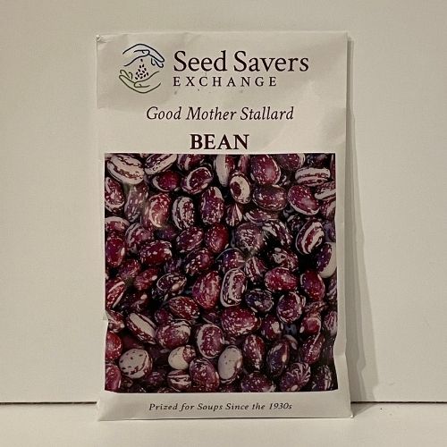 Good Mother Stallard Bean Heirloom Open-Pollinated