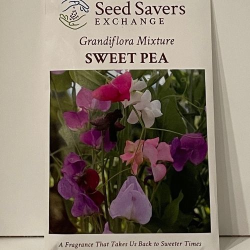 Grandiflora Mix Sweet Pea Heirloom Seeds