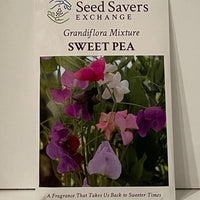 Thumbnail for Grandiflora Mix Sweet Pea Heirloom Seeds