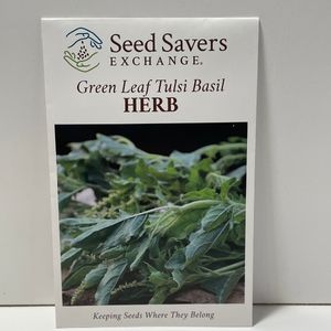 Green Leaf Tulsi Basil Herb