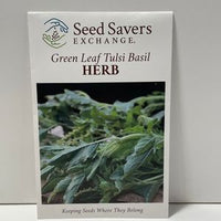 Thumbnail for Green Leaf Tulsi Basil Herb
