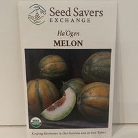Thumbnail for Organic Ha'Ogen Melon Seeds