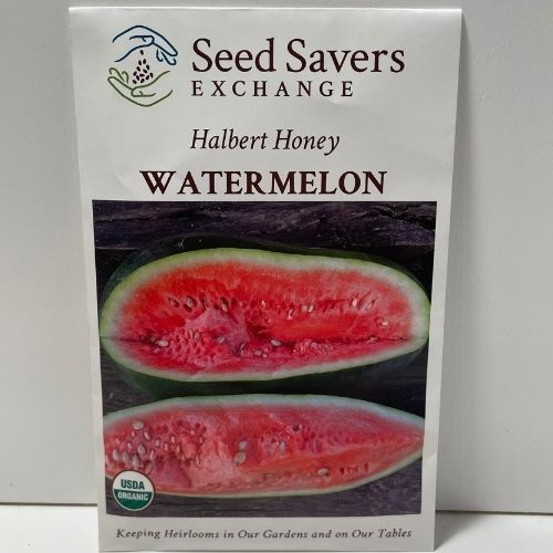 Organic Halbert Honey Watermelon Heirloom Open Pollinated Seeds