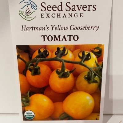 Organic Hartman's Yellow Gooseberry Tomato Seed