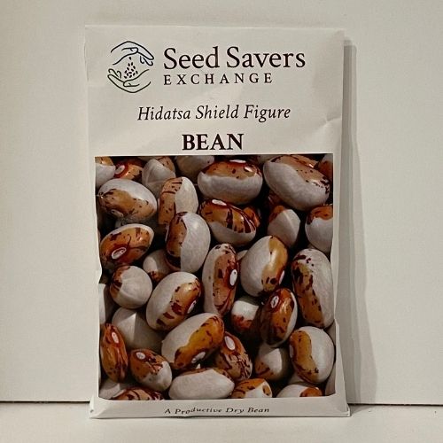 Hidatsa Shield Figure Bean Heirloom Open-Pollianted
