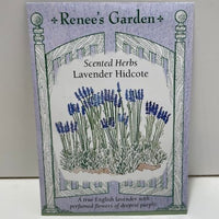 Thumbnail for Hidcote Lavender Seeds