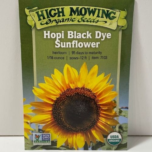 Organic Hopi Black Dye Sunflower Heirloom Seeds