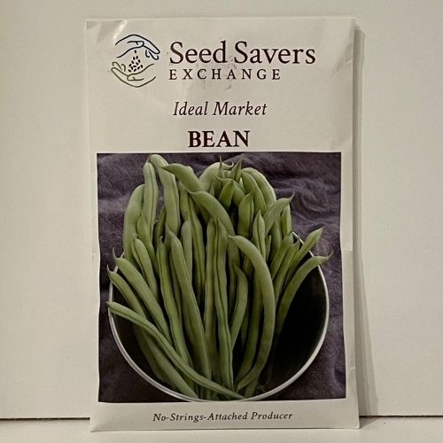 Ideal Market Bean Heirloom Open-Pollinated