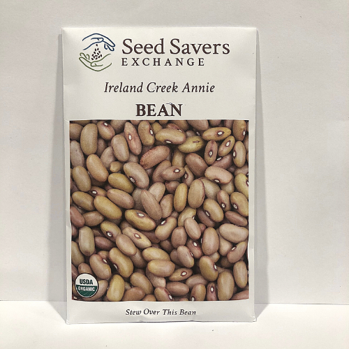 Ireland Creek Annie Bush Bean, Organic