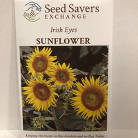 Thumbnail for Irish Eyes Sunflower