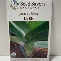 Thumbnail for Organic Jaune du Poitou Leek Hieiloom Open Pollinated Seeds
