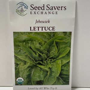 Organic Jebousek Lettuce Heirloom Open-Pollinated Seeds