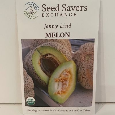 Organic Jenny Lind Melon Seeds, 1850s Heirlooms