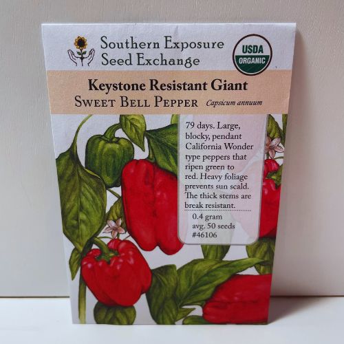 Keystone Resistant Giant Sweet Bell Pepper, Organic