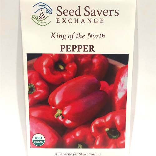 King of the North Pepper (Sweet), Organic