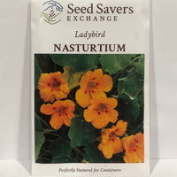 Thumbnail for Ladybird Nasturtium Flower